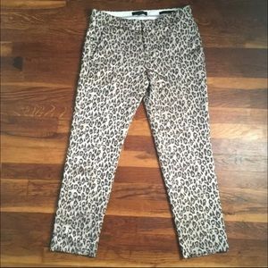 Cheetah banana republic capris